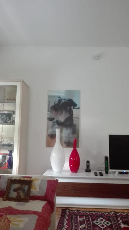 Vila Stan Breka SJJ Exteriér fotografie